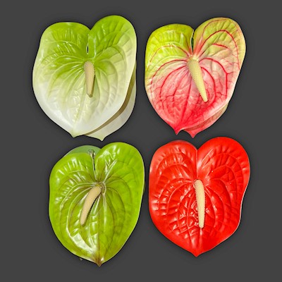 Large Anthurium Claw Clip                                                  